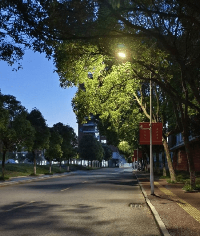 学校医院-尊龙在线登录科技